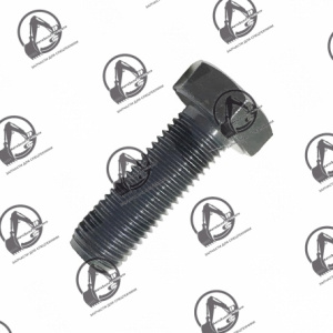 Болт TEREX 6194338M1